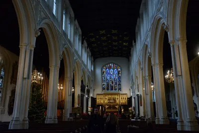 DSC_5614 (Large).JPG